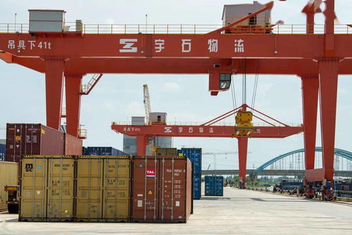 桐鄉三企領跑全省服務業，國內貿易代理服務數量居嘉興之首