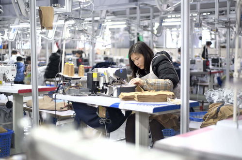 服裝輔料制造業沖刺開門紅，企業生產忙助力經濟穩增長