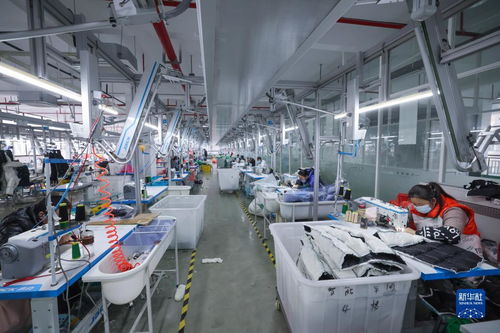 湖州童裝之都 以輔料制造為基石，從“做產(chǎn)品”到“創(chuàng)品牌”的產(chǎn)業(yè)升級(jí)之路